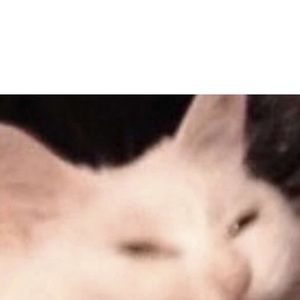 Meet your Posher, Lora